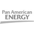 pan-american-energy