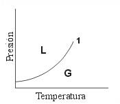 Diagrama P-T para un solo componente.