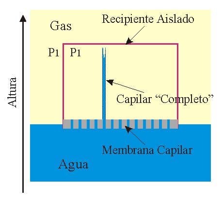 Una cámara aislada con una membrana «capilar». El capilar «completo» muestra el nivel de agua correspondiente al ascenso capilar de este sistema.